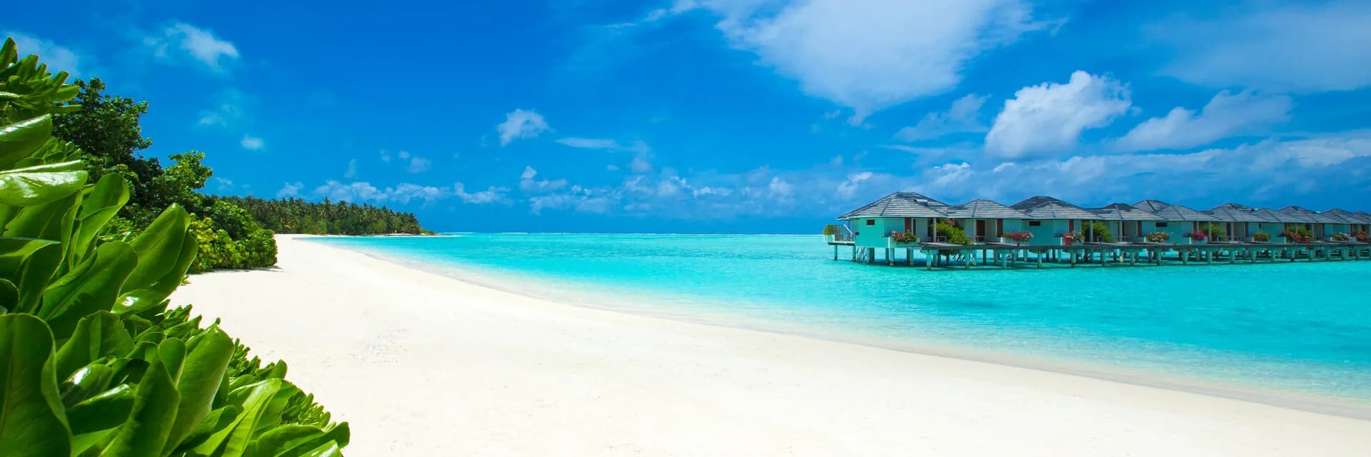 slide-1-maldives.webp